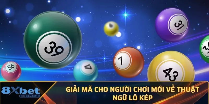 Giải mã cho người chơi mới về thuật ngữ lô kép